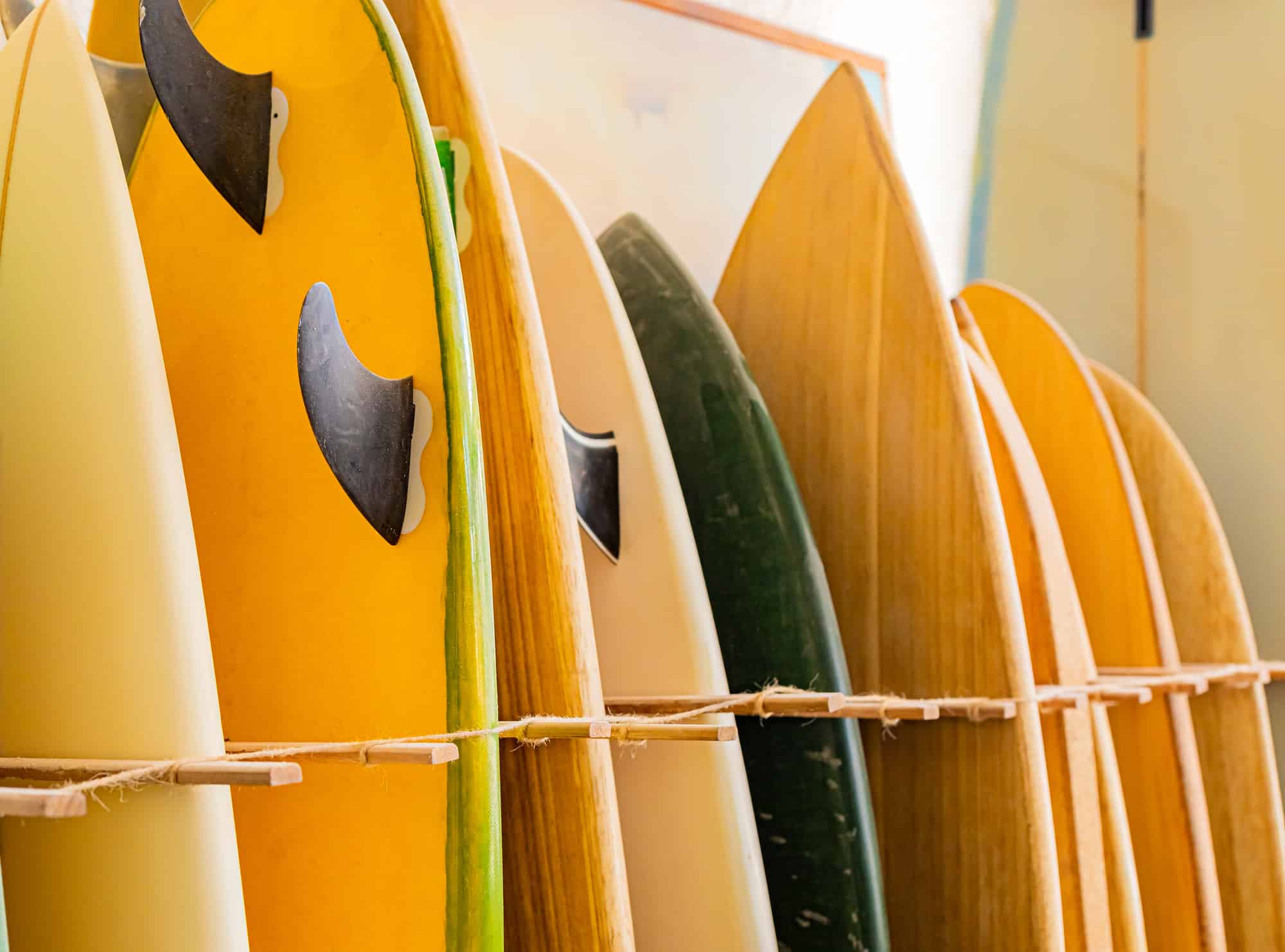 The 8 Best Surf Shops in San Diego Wandering California