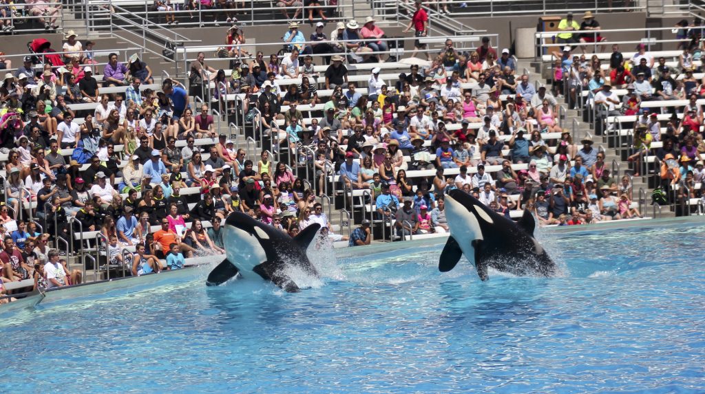 seaworld san diego vs san antonio