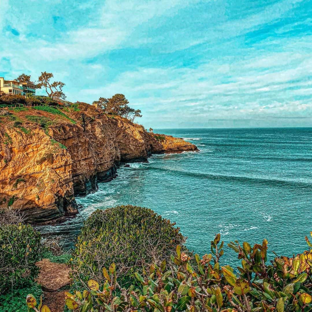 La Jolla Tide Pools in San Diego: A Local's Guide - Wandering California