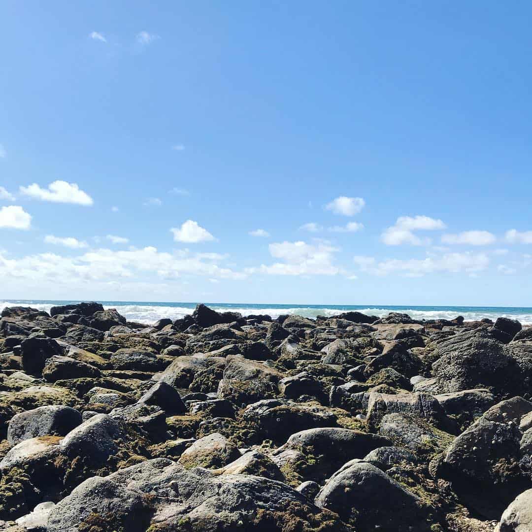 La Jolla Tide Pools in San Diego: A Local's Guide - Wandering California