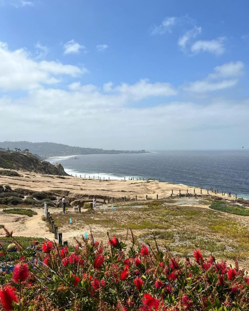 car photography torrey pines san diego