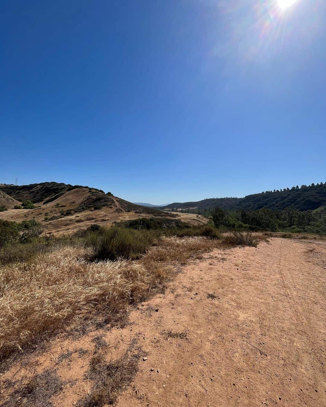 Best Night Hikes in San Diego Wandering California