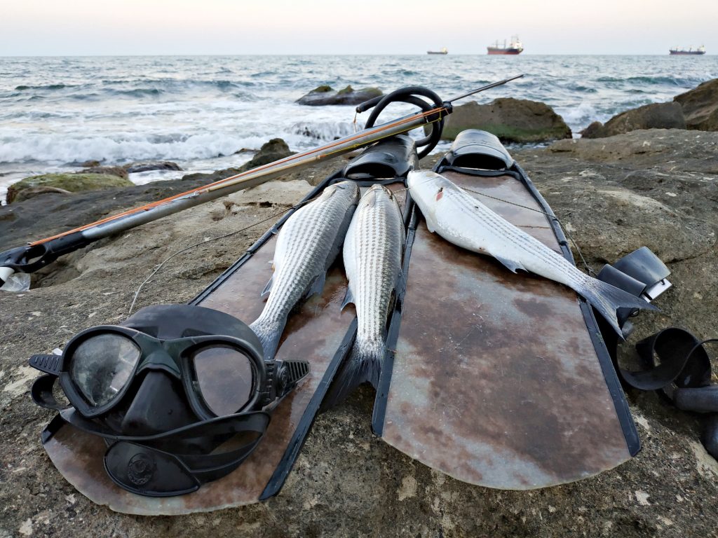 spearfishing essentials in la jolla san diego childrens pool