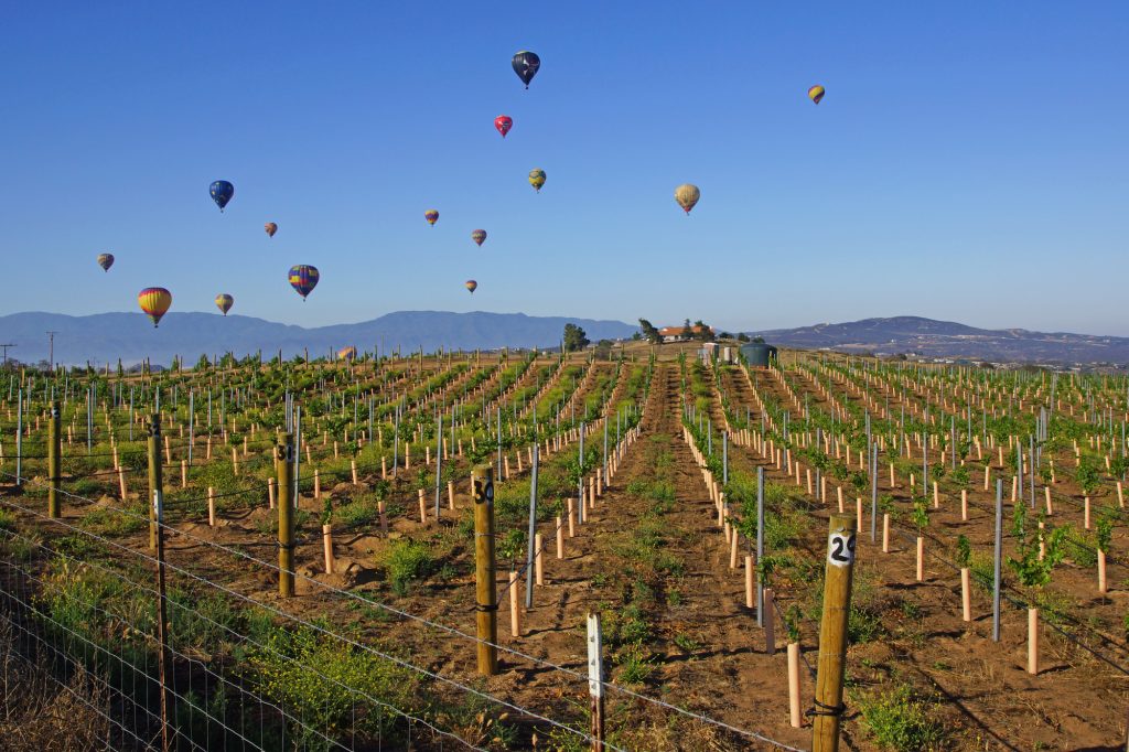 Sleeping in your car in temecula winery