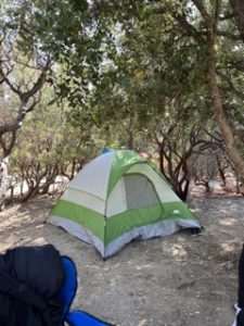 Idyllwild Camping: The Complete Guide - Wandering California