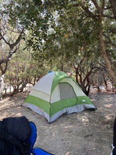 idyllwild tent camping