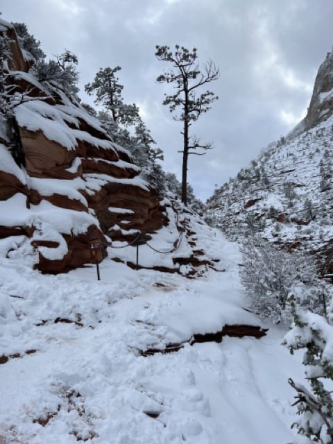 angels landing trail zion utah