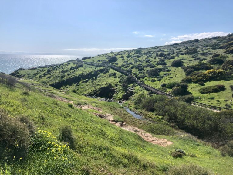 The Best Hiking Trails San Diego - San Diego Hiking 768x576 