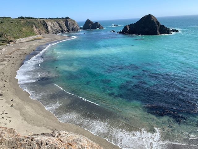 anagha-varrier-8QsLsPEltew-unsplash