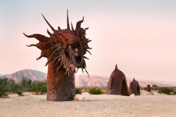 Anza Borrego Wildflowers