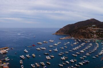 Catalina Island Day Trip from san diego