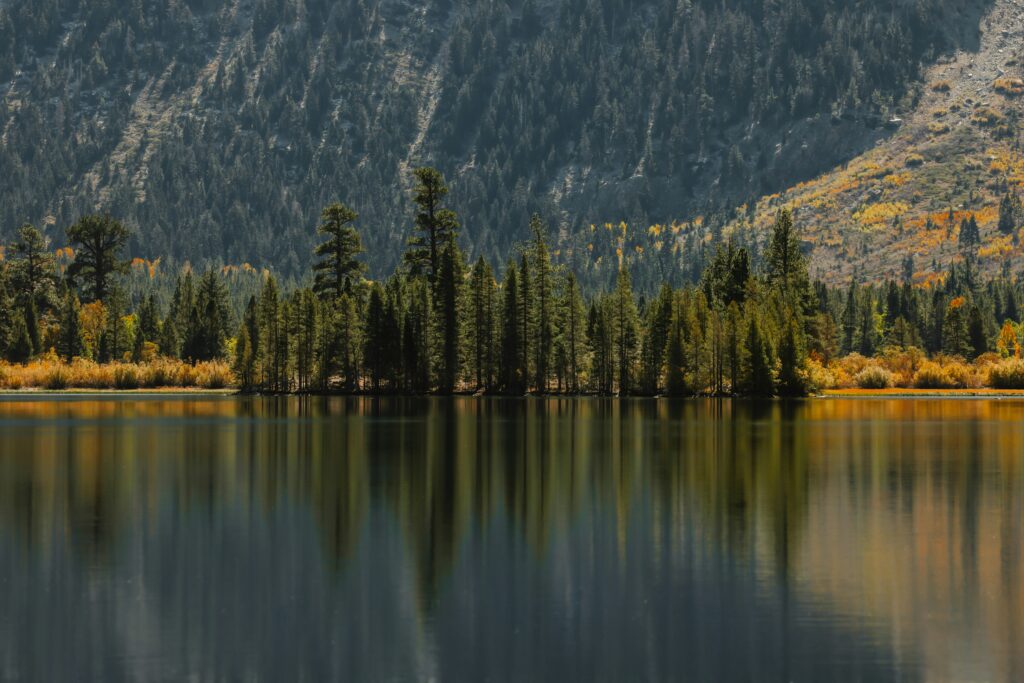 june lake loop camping