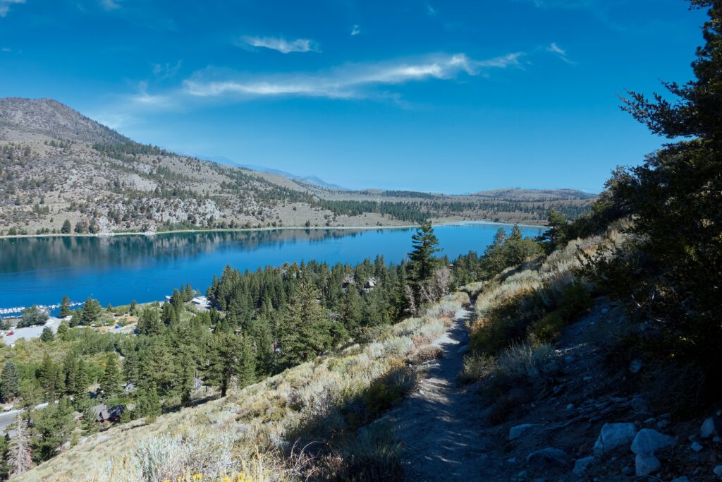 june lake campground