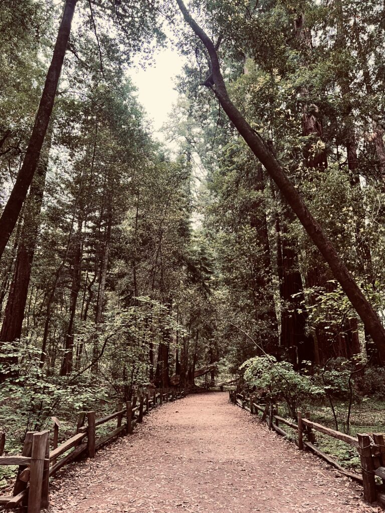 best campgrounds in northern california