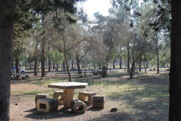 Agua Caliente County Park camping
