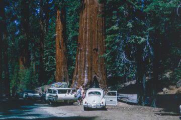car camping sequoia national park
