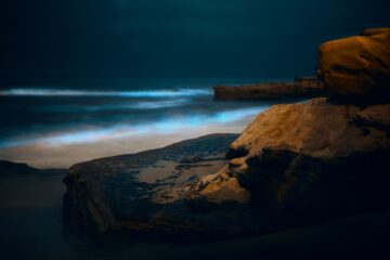bioluminescence in san diego