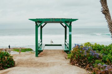 dog-friendly camping trip near San Diego