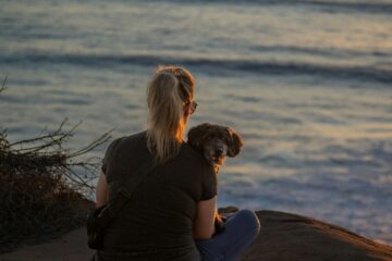 dog friendly day trips from San Diego