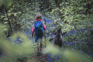dog friendly hiking trails in san diego