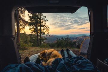 car camping spots with dogs in california