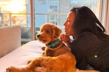 dog friendly hotels in San Diego