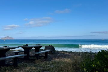 coastal picnic spots in California