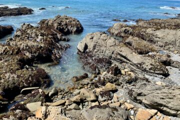 Cambria California road trip stop