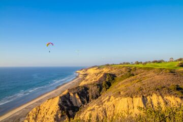 Torrey Pines State Reserve guide