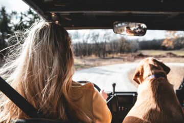 California road trip with your dog