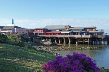 san francisco travel guide