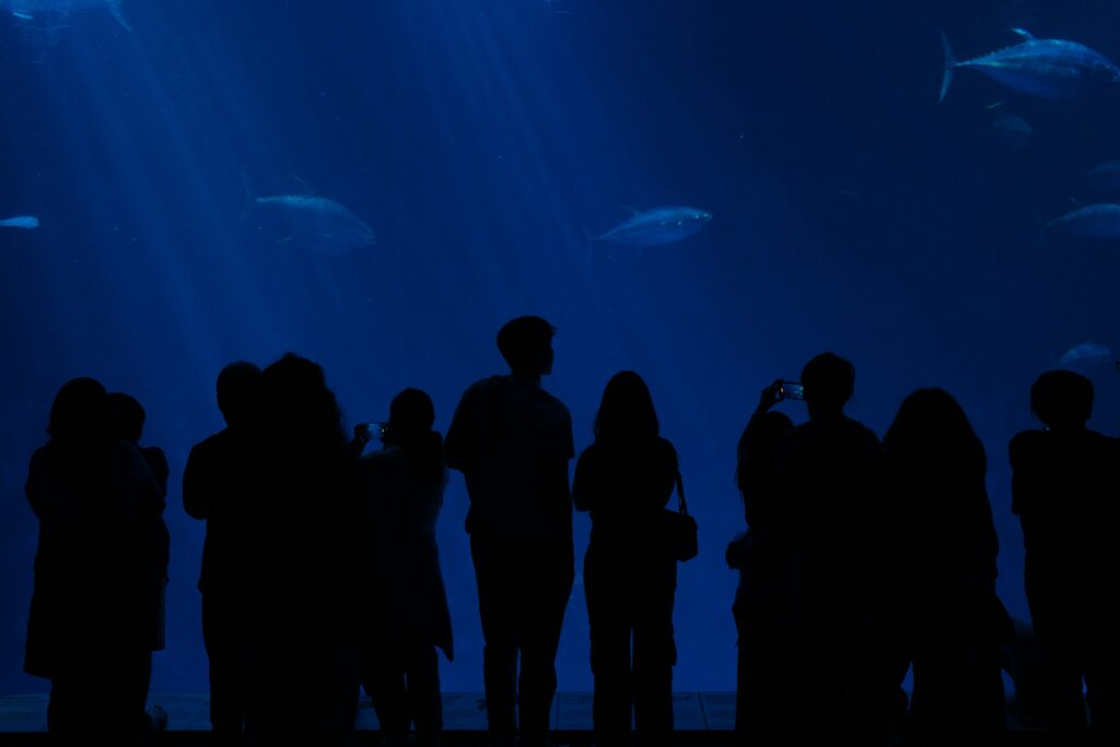 monterey aquarium