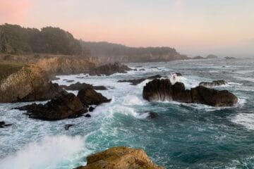 bodega bay travel guide