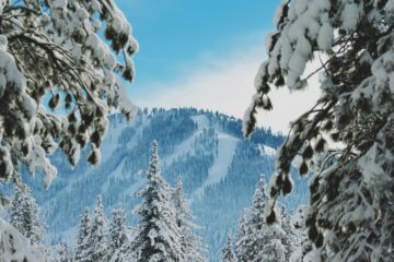Truckee travel guide